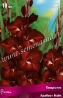 Гладиолус Крупноцветковый Арабиан Найт (10/12) 10 шт 