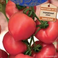 Томат Розовый Фрегат F1