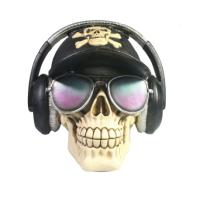 Веселый Роджер (черный) 718143/SK196