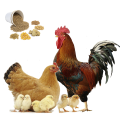 Премиксы и корма для с/х птицы
