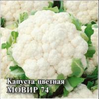 Капуста цветная Мовир 74 10 г
