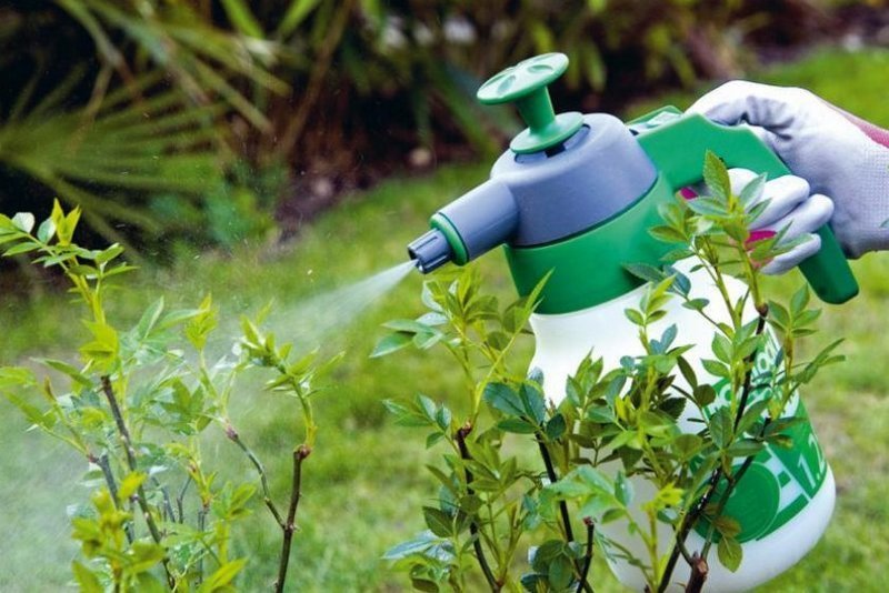 средства защиты растений средства защиты растений