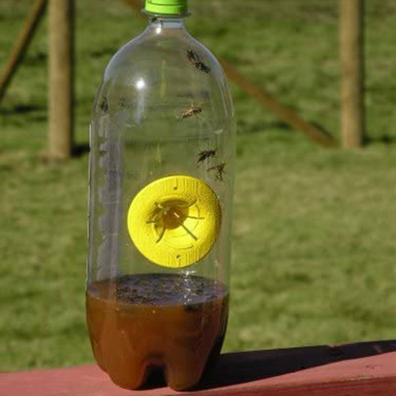 ловушка от ос ловушка от ос