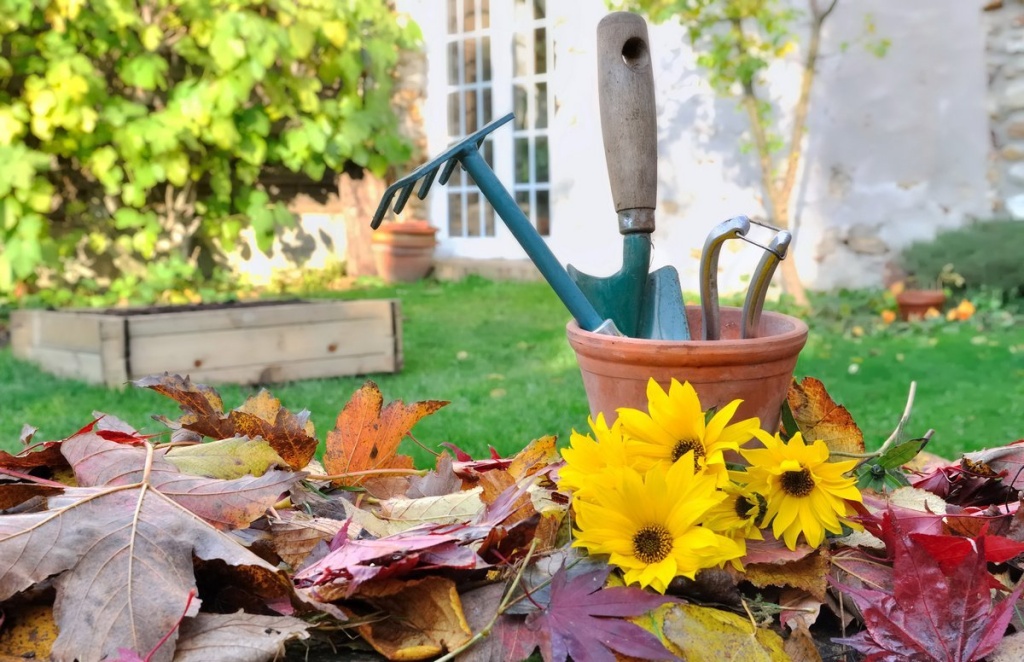 сад в октябре.jpg