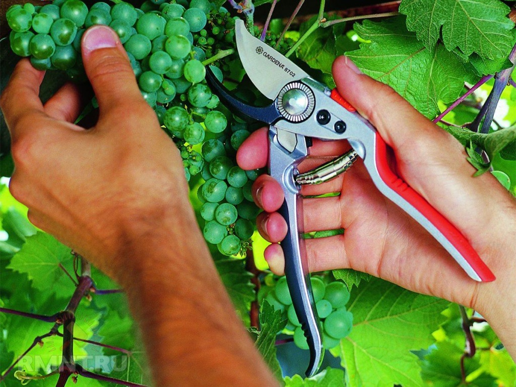 image-4104-14.jpg image-4104-14.jpg