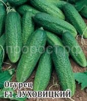 Фермерская Огурец Луховицкий F1 100 шт Гавриш