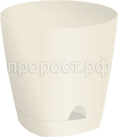 амстердам 1 амстердам 1