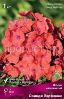 Флокс метельчатый Ориндж Перфекшн Флокс метельчатый Ориндж Перфекшн