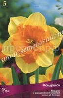 Нарцисс с Расщеплённой коронкой Мондрагон (5шт, 12-14) 380783 Нарцисс с Расщеплённой коронкой Мондрагон (5шт, 12-14) 380783