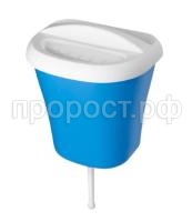 Аква голуб Аква голуб