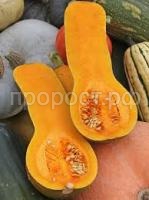 Без названия