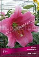 Лилия Лонгифлорум Пинк Хевен (14-16) 2 шт 340473 Лилия Лонгифлорум Пинк Хевен (14-16) 2 шт 340473