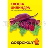 свекла цилиндра