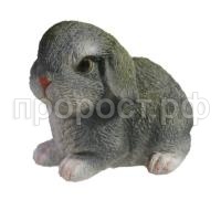 дикие животные_html_300df34dd6d9c008