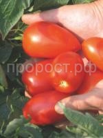 Томат Велоз F1 Томат Велоз F1