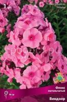 Флокс метельчатый Виндзор Флокс метельчатый Виндзор