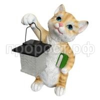 котенок с фонар рыж