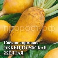 Свекла кормовая Эккендорфская желтая 0,5кг