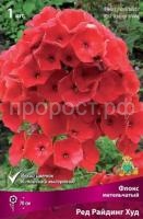 Флокс метельчатый Ред Райдинг Худ Флокс метельчатый Ред Райдинг Худ