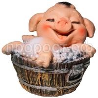 поросенок в корыте