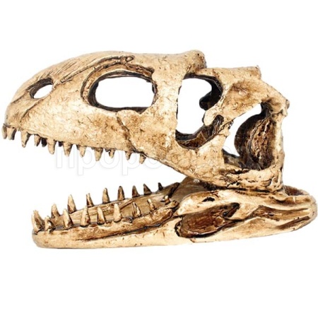 Грот Череп динозавра Nomoy Pet 18х5.5х11см/NMP-NS-98