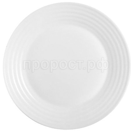 Тарелка десертная "АРЕНА" 19см N18797/L2786 /24шт/LUMINARC